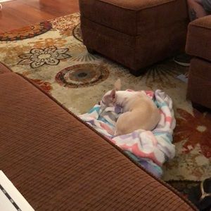 Meet your Posher, Christine